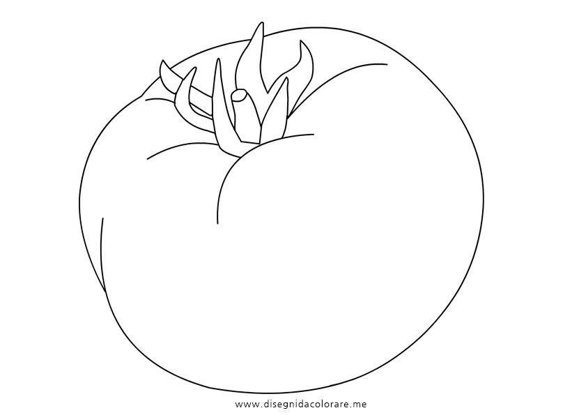 disegno pomodoro