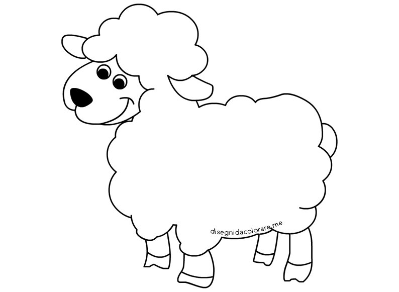 disegno agnello