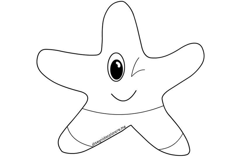 disegno stella marina