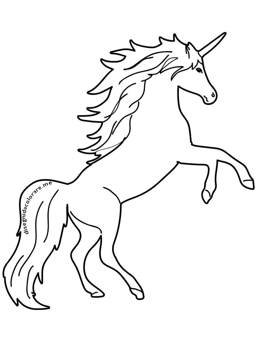 disegno unicorno