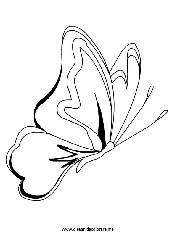 disegni farfalla