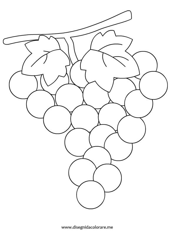disegno-uva