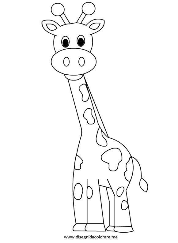 giraffa disegno