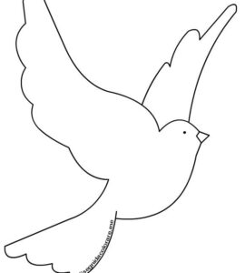 disegno colomba 1