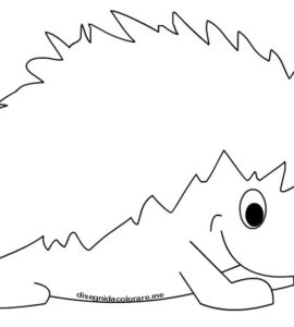 disegno riccio 1