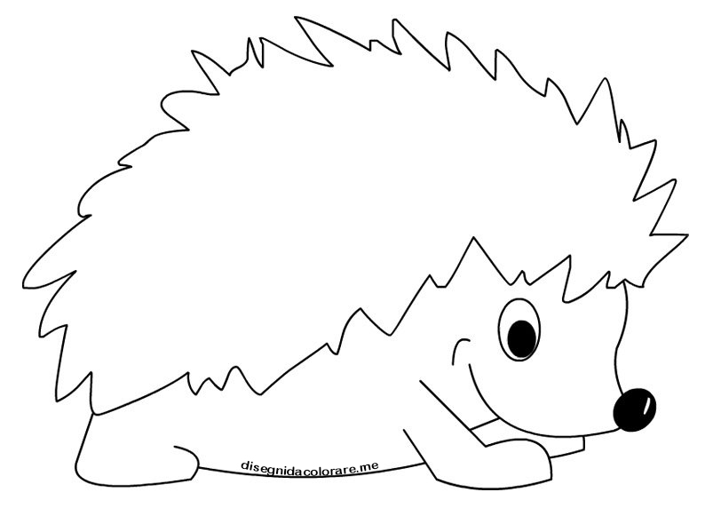 Riccio da colorare 1 disegno riccio 1
