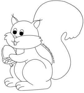 disegno scoiattolo