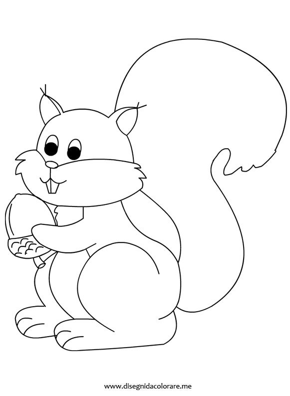 disegno-scoiattolo