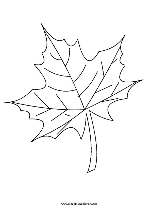 disegno-foglia-autunno