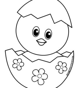 pasqua pulcino