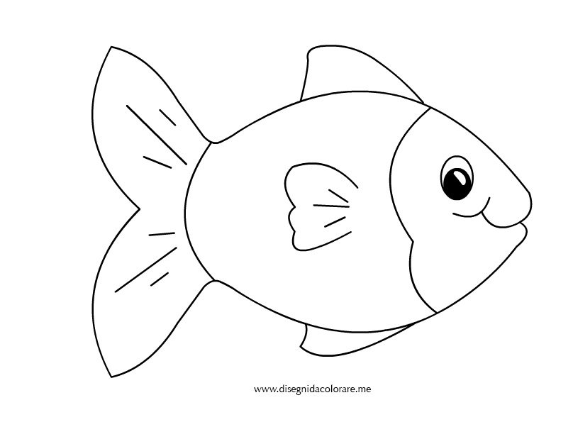 pesce disegni