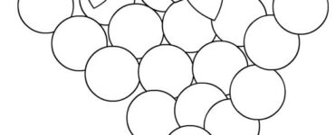 disegno uva