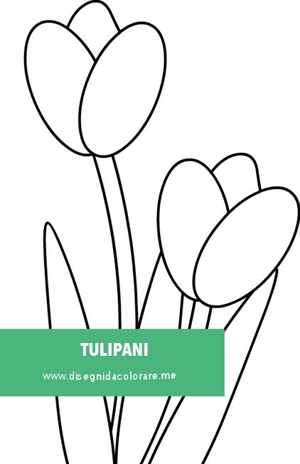 Due tulipani Disegno per bambini 1 2 tulipani