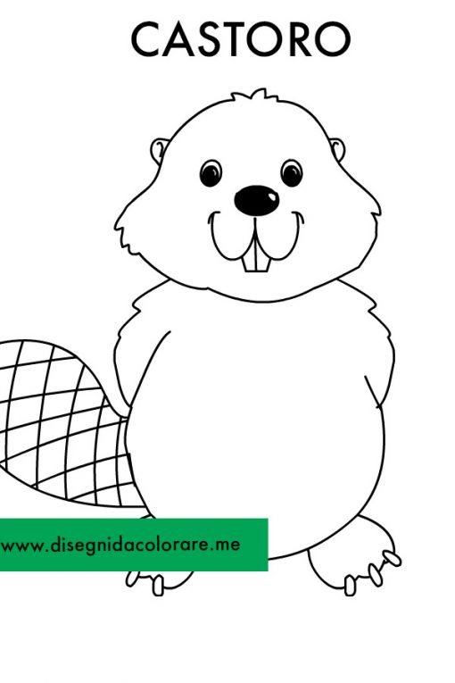 Disegno Castoro 1 castoro