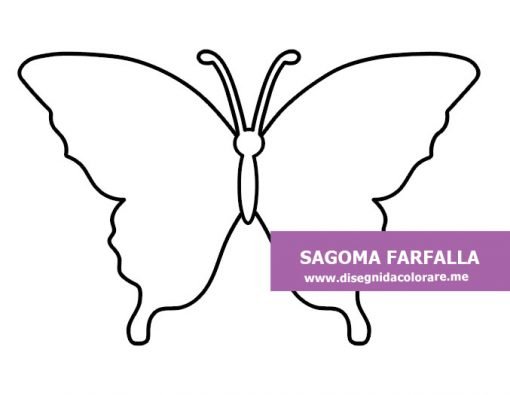 sagoma farfalla da colorare
