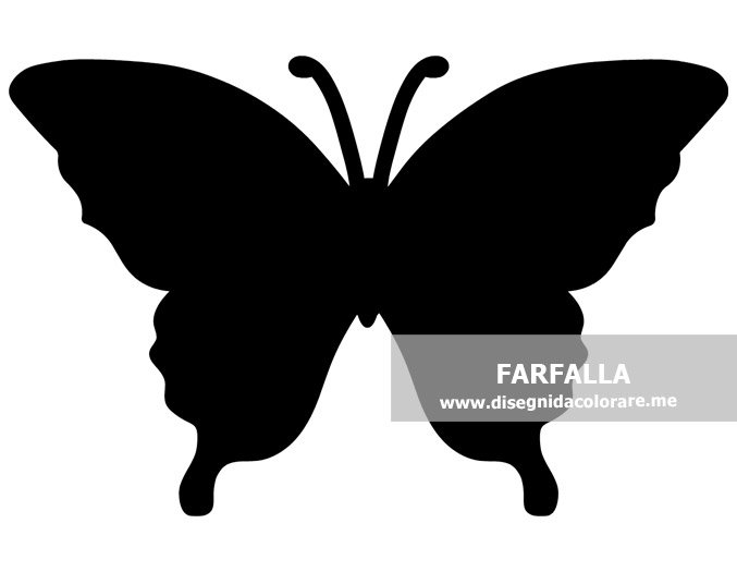 silhouette farfalla