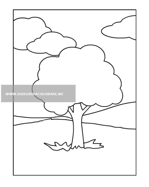 albero disegno
