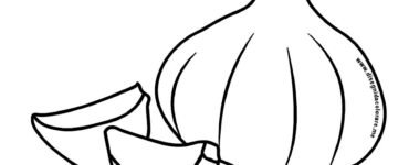 aglio disegno
