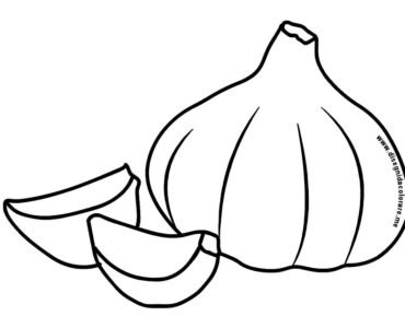 aglio disegno