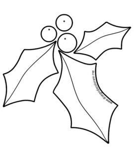 agrifoglio disegno