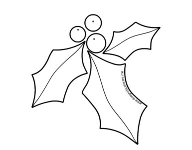 agrifoglio disegno