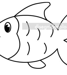 pesce disegno