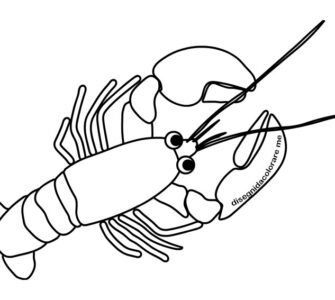 aragosta