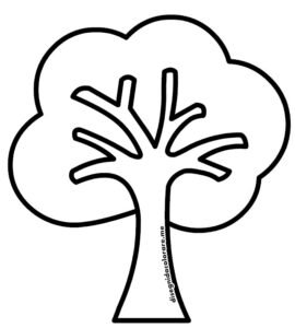 albero