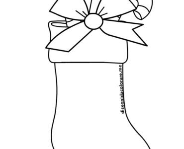 calza natale