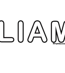 liam