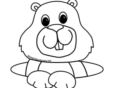 marmotta