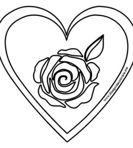 cuore rosa fiore