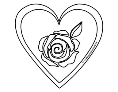 cuore rosa fiore