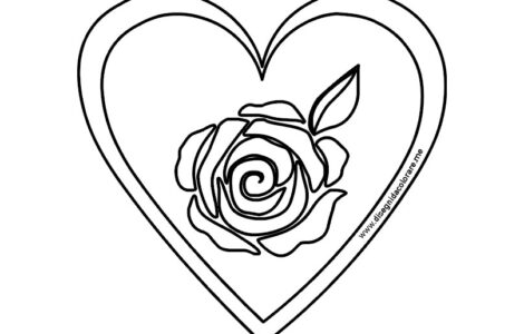 cuore rosa fiore