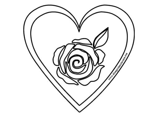 Cuore con rosa 1 cuore rosa fiore