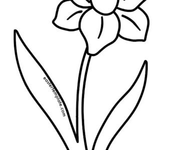 narciso