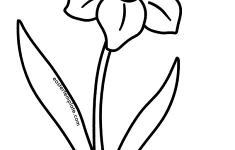 narciso