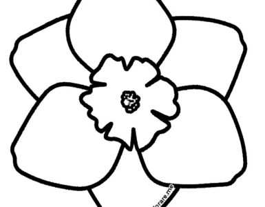 narciso fiore