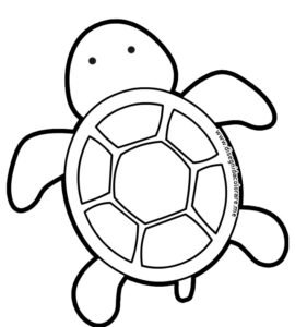 tartaruga