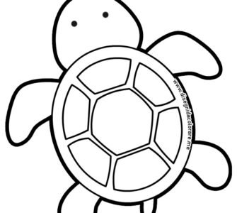 tartaruga