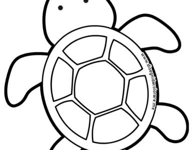 tartaruga