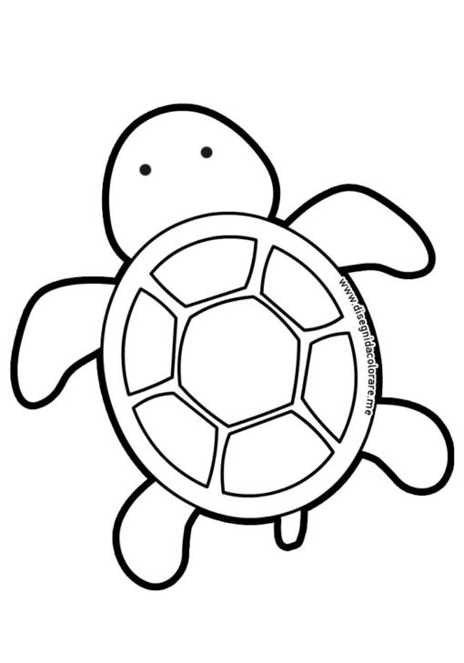 Disegno tartaruga 1 tartaruga