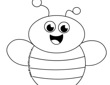 giornata api