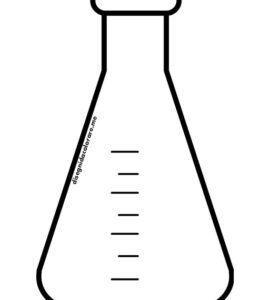 ampolla scienze