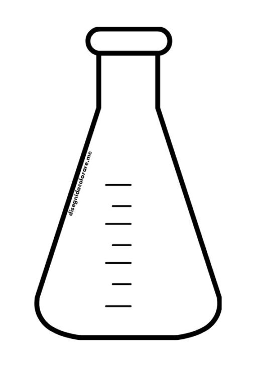 ampolla scienze