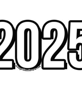 2025 anno