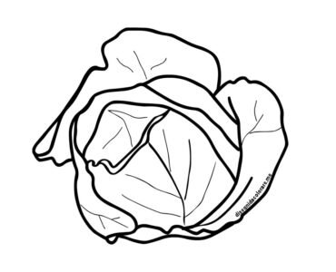 cavolo