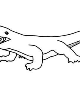 drago komodo