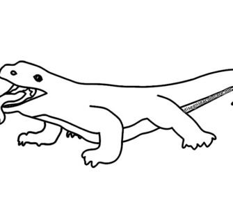 drago komodo