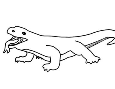 drago komodo
